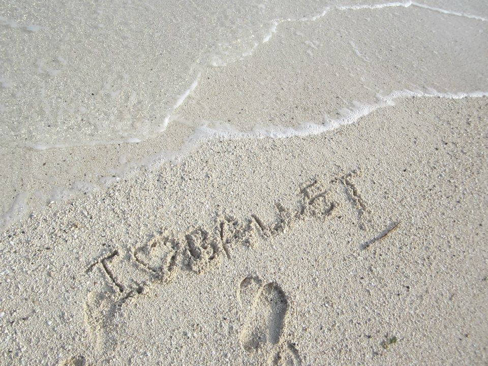 407290_245815418825467_336047439_n